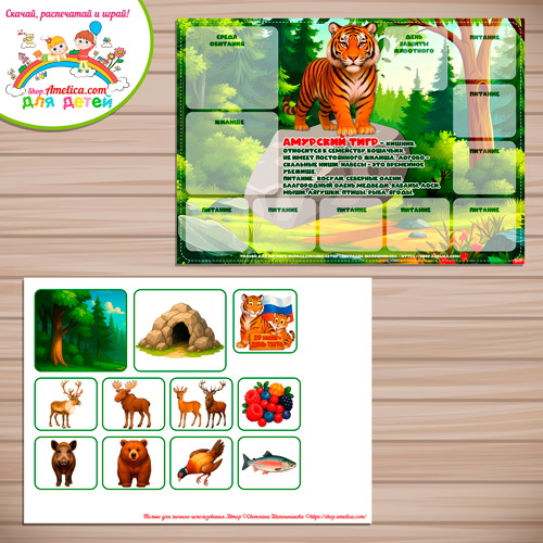 Дидактическая игра для детей на 29 Июля - День тигра «Животные России - Амурский тигр» Дидактическая игра для детей на 29 Июля - День тигра «Животные России - Амурский тигр»