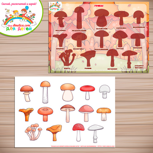 Дидактическая игра - презентация «Грибы» - 2 вариант Дидактическая игра - презентация «Грибы» - 2 вариант
