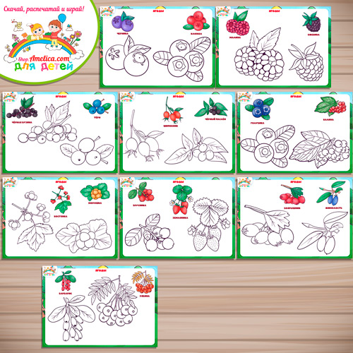 Раскраски для детей, для детского сада (ДОУ) "Раскрась по образцу - Ягоды" Раскраски для детей, для детского сада (ДОУ) "Раскрась по образцу - Ягоды"