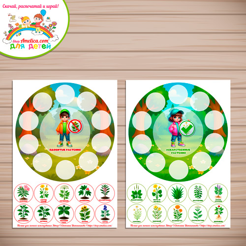 Дидактическая игра - сортировка «Ядовитые и лекарственные растения». Дидактическая игра - сортировка «Ядовитые и лекарственные растения».