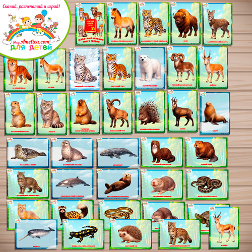 Карточки — презентации (наглядный материал) для оформления стенда для детей, для детского сада (ДОУ) "Животные Красной книги России". Карточки — презентации (наглядный материал) для оформления стенда для детей, для детского сада (ДОУ) "Животные Красной книги России".
