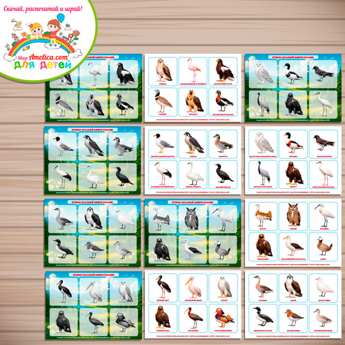 Дидактическая игра - лото для детей, для детского сада (ДОУ) "Птицы Красной книги России". Дидактическая игра - лото для детей, для детского сада (ДОУ) "Птицы Красной книги России".