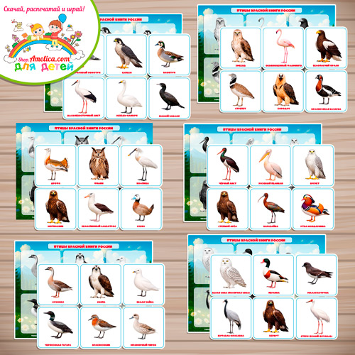 Дидактическая игра - лото для детей, для детского сада (ДОУ) "Птицы Красной книги России". Дидактическая игра - лото для детей, для детского сада (ДОУ) "Птицы Красной книги России".