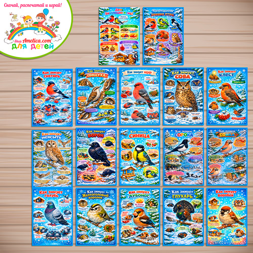 Папка-передвижка, плакаты - презентации (наглядный материал) на День зимующих птиц «Как зимуют птицы» Папка-передвижка, плакаты - презентации (наглядный материал) на День зимующих птиц «Как зимуют птицы»