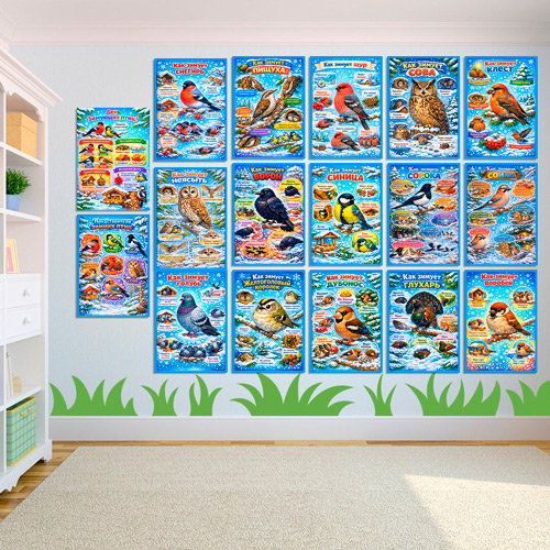 Папка-передвижка, плакаты - презентации (наглядный материал) на День зимующих птиц «Как зимуют птицы» Папка-передвижка, плакаты - презентации (наглядный материал) на День зимующих птиц «Как зимуют птицы»