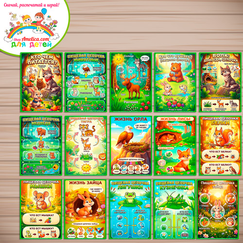 Папка-передвижка, плакаты - презентации (наглядный материал) «Пищевая цепочка (цепь питания) в лесу» Папка-передвижка, плакаты - презентации (наглядный материал) «Пищевая цепочка (цепь питания) в лесу»