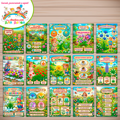 Папка-передвижка, плакаты - презентации (наглядный материал) «Полевые цветы» для детей. Папка-передвижка, плакаты - презентации (наглядный материал) «Полевые цветы» для детей.