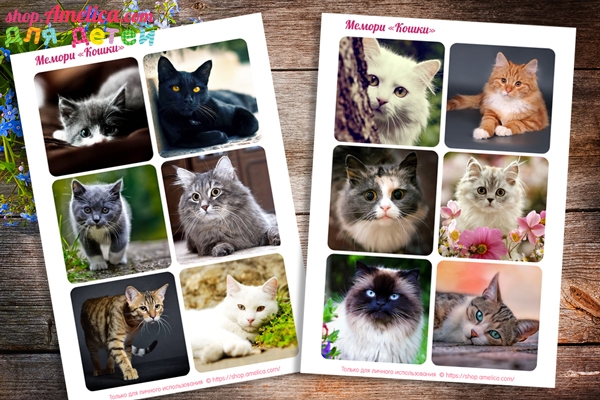 Фото — мемори для детей и взрослых «Кошки»