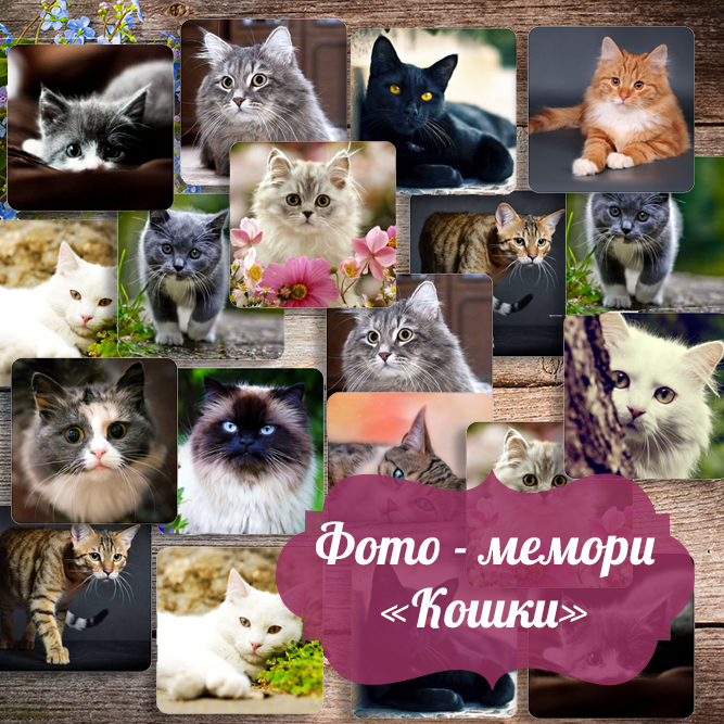 Фото — мемори для детей и взрослых «Кошки»