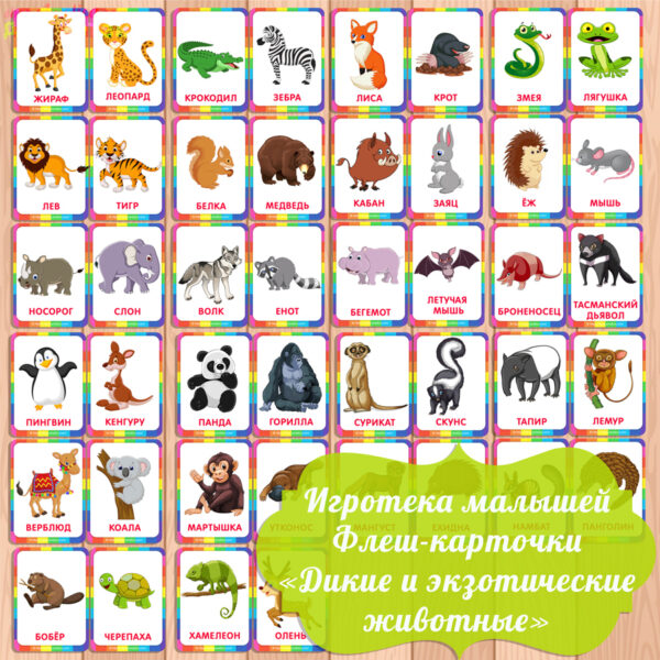 карточки дикие животные, карточки для малышей, картинки животных для детей,