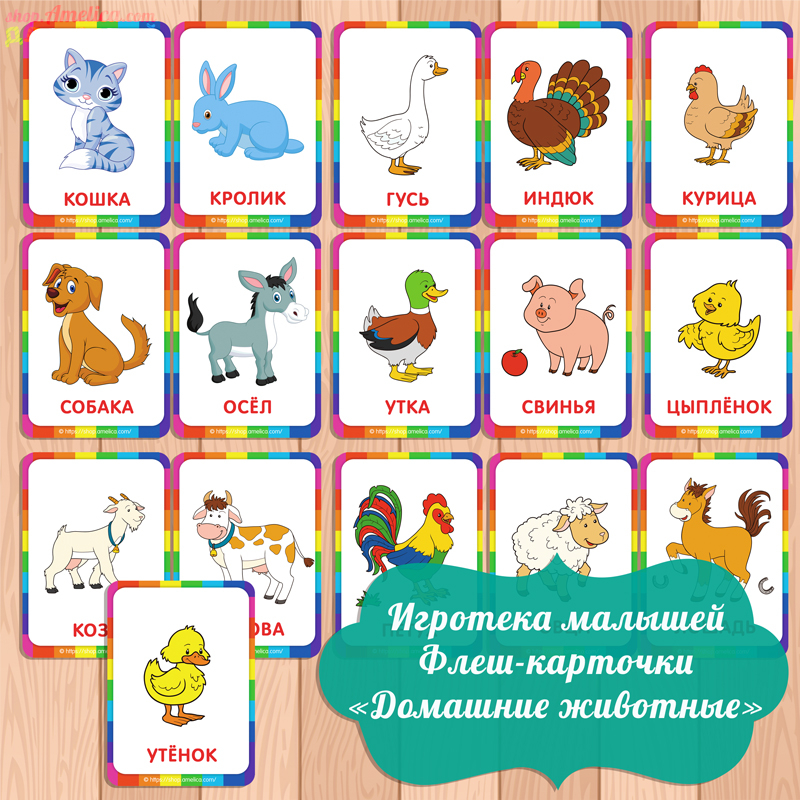 Игротека малышей — флеш карточки «Домашние животные» скачать для распечатки, картинки животные для детей