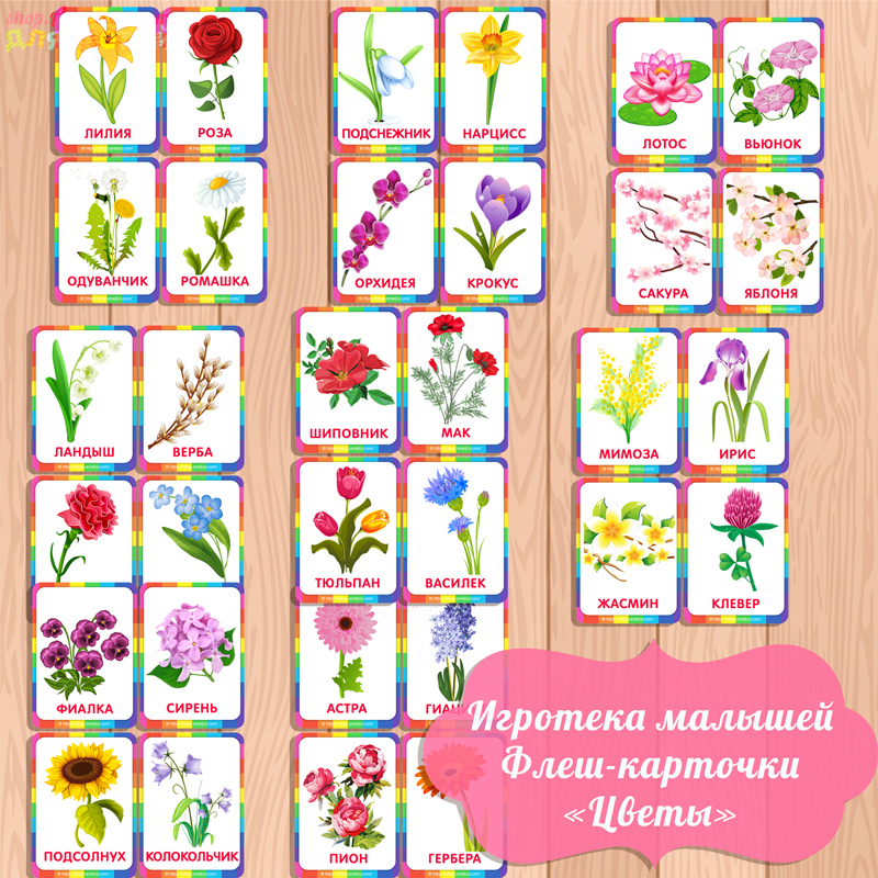 флеш карточки цветы, карточки цветы, карточки для малышей, изучаем цветы