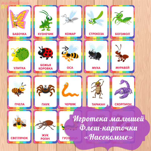 карточки насекомые, карточки для малышей, картинки насекомых для детей