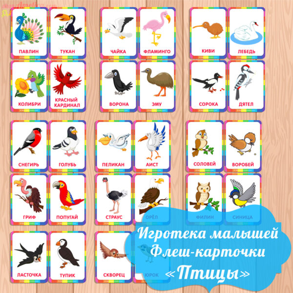 карточки птицы, карточки для малышей, картинки птиц для детей, картинки птиц скачать