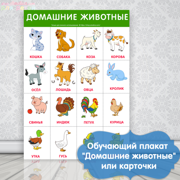 Обучающий плакат, развивающий плакат для детей, плакат для детского сада, картинки домашние животные для детей