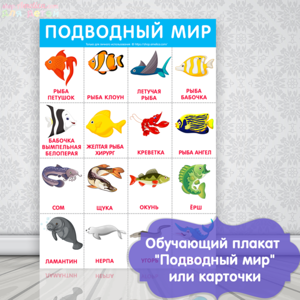 плакат подводный мир , морские обитатели картинки для детей с названием, плакат для детского сада