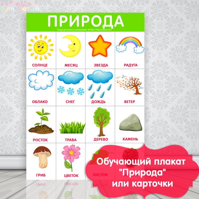 плакат природа для детей, окружающий мир картинки для детей