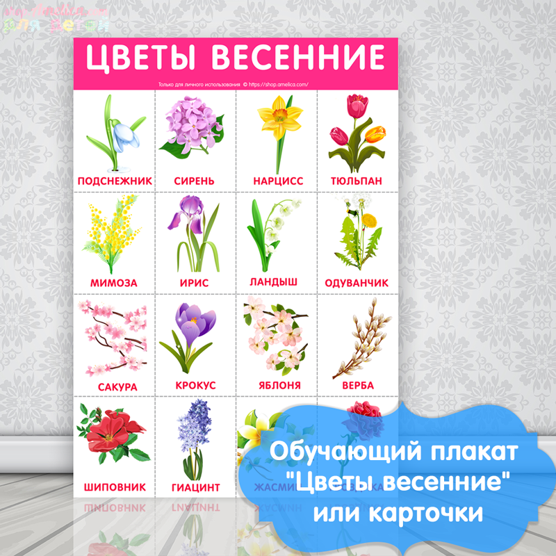 плакат для детского сада, картинки весенние цветы для детей, детские картинки цветы