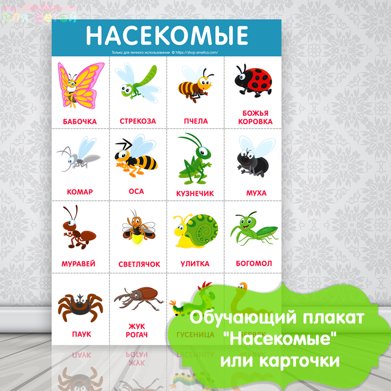 развивающий плакат для детей, плакат для детского сада, картинки насекомые для детей