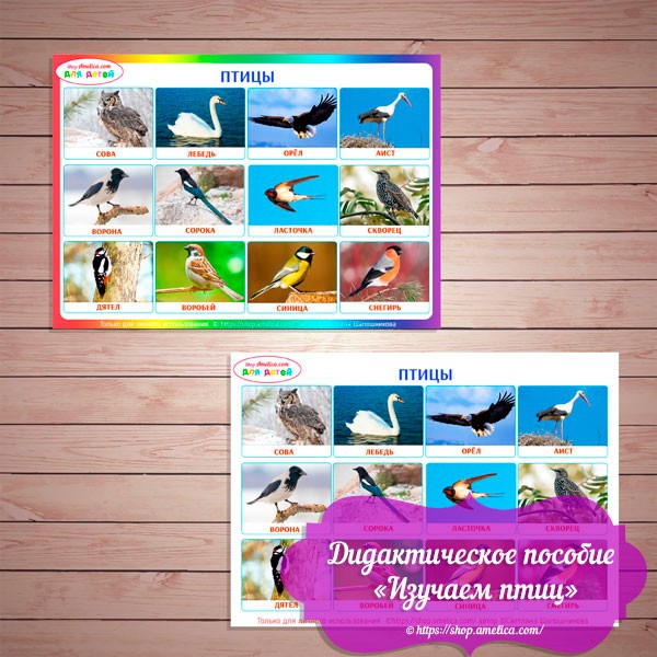 Игры на липучках — шаблон скачать, дидактическое пособие для малышей «Изучаем птиц»