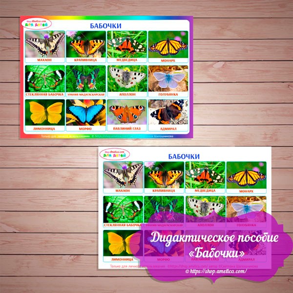 Игры на липучках - шаблон скачать, дидактическое пособие для малышей "Изучаем бабочки"