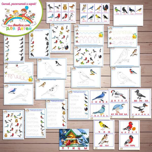 Тематический комплект «Зимующие птицы». Картинки зимующие птицы, развивающие игры про птиц скачать и распечатать