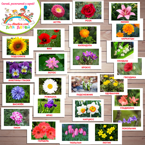 Тематический комплект "Цветы" игры и развивающий материал для детей скачать для печати
