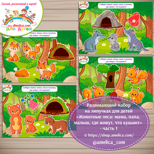 Развивающий набор на липучках для детей «Животные леса: мама, папа, малыш, где живут, что кушают» - часть 1