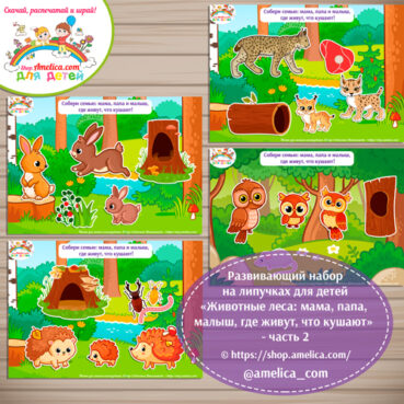 Развивающий набор на липучках для детей «Животные леса: мама, папа, малыш, где живут, что кушают» - часть 2