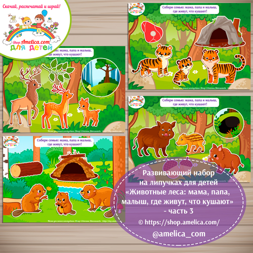 Развивающий набор на липучках для детей «Животные леса: мама, папа, малыш, где живут, что кушают» - часть 3