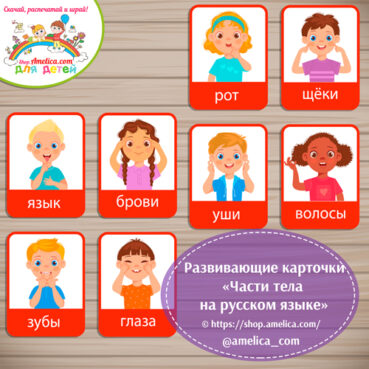 Развивающие карточки "Части тела на русском языке"