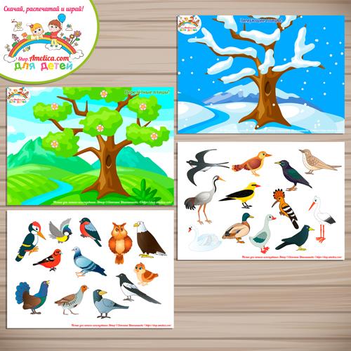 Дидактическая игра - сортировка "Зимующие и перелётные птицы"