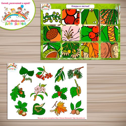 Игра на липучках для детей «Угадай плоды и листья»
