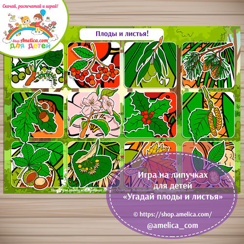 Игра на липучках для детей «Угадай плоды и листья»