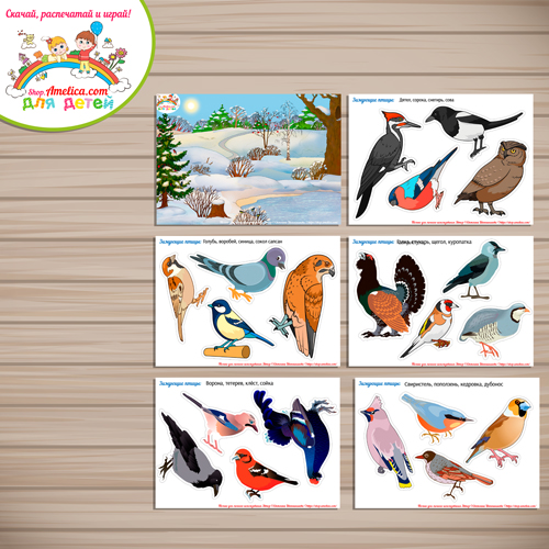 картинки Зимующие птицы для детей скачать и распечатать