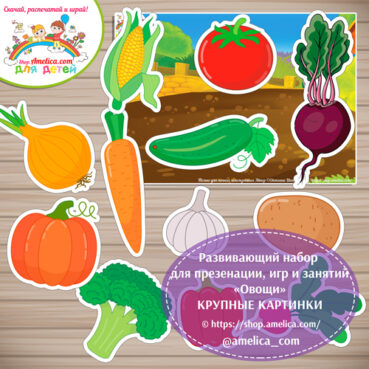 Развивающий набор для презентации, игр и занятий «Овощи»