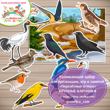 Развивающий набор для презентации, игр и занятий «Перелётные птицы»