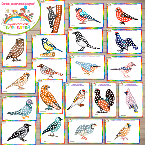 Набор пластилиновых аппликаций для малышей «Зимующие птицы»