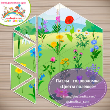 Головоломка - пазлы для детей «Цветы полевые»