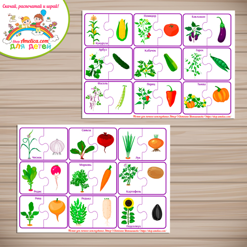 Развиващая игра — пазлы «Растения и плоды» — часть 4