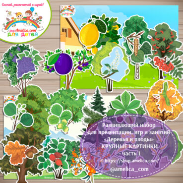 Развивающий набор для презентации, игр и занятий «Деревья, кустарники и плоды» - КРУПНЫЕ КАРТИНКИ