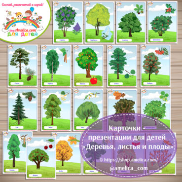 Карточки - презентации для дошкольников «Деревья, листья и плоды»