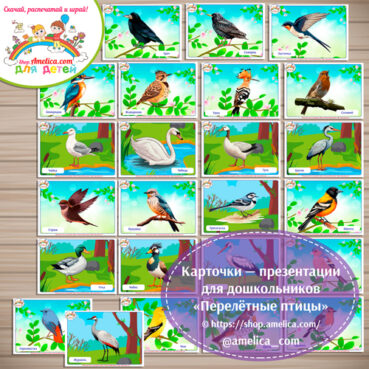Карточки - презентации для дошкольников «Перелётные птицы»