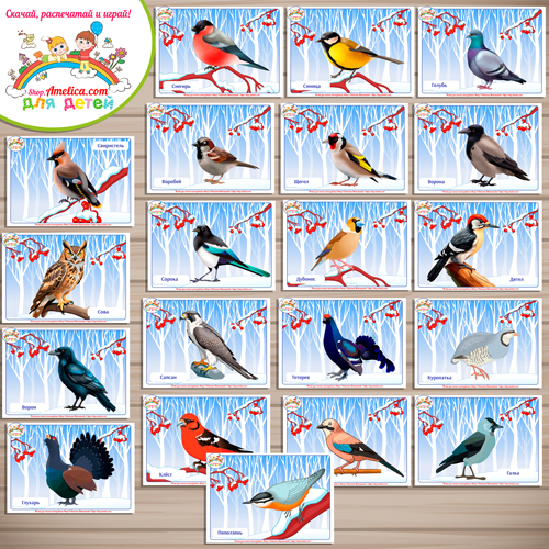 Карточки - презентации для детей Зимующие птицы скачать