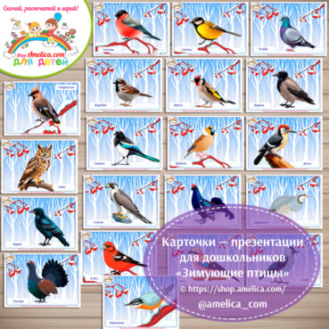 Карточки - презентации для дошкольников «Зимующие птицы»