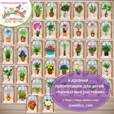 Карточки - презентации для дошкольников «Комнатные растения»