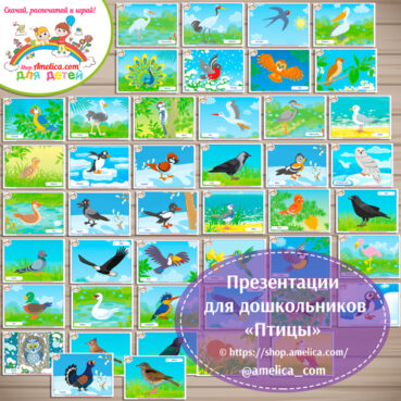 Карточки - презентации для дошкольников «Птицы»