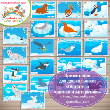 Карточки - презентации для дошкольников «Обитатели Арктики и Антарктики».