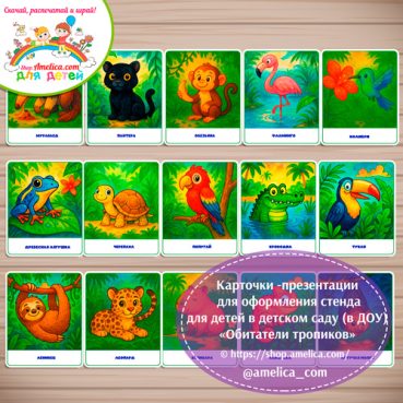 Демонстрационные карточки — презентации для оформления стенда для детского сада "Обитатели тропиков"