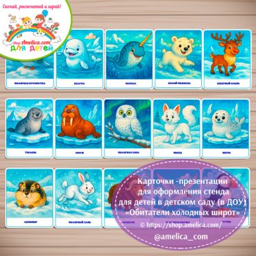 Демонстрационные карточки — презентации для оформления стенда для детского сада "Обитатели холодных широт"